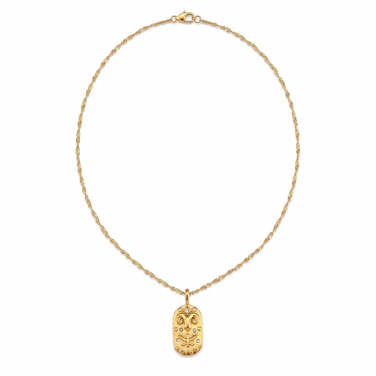 Astria Zodiac Necklace on a pure white background