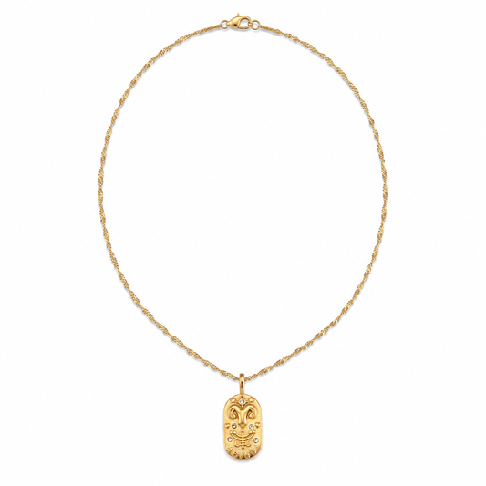 Astria Zodiac Necklace on a pure white background
