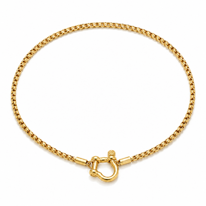 Cassia Shackle Chain Necklace in gold on a pure white background