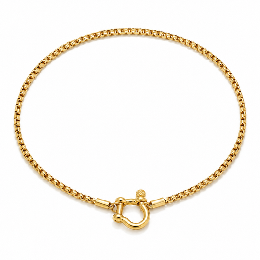 Cassia Shackle Chain Necklace in gold on a pure white background