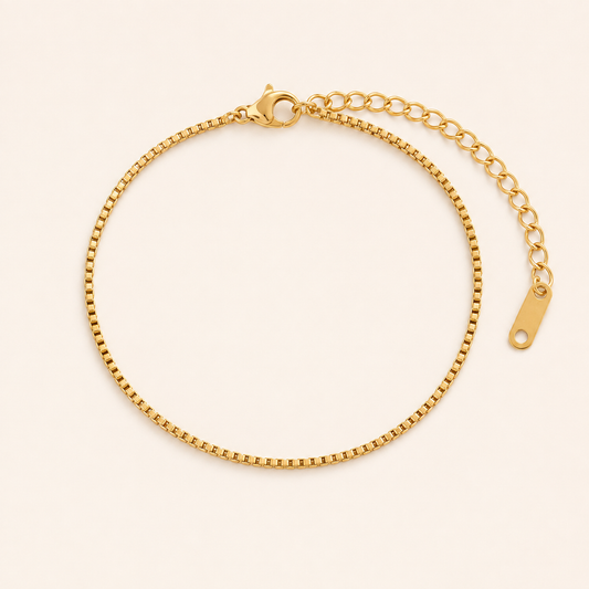 Renna Box Chain Bracelet — 18K gold PVD box chain on a light ivory background