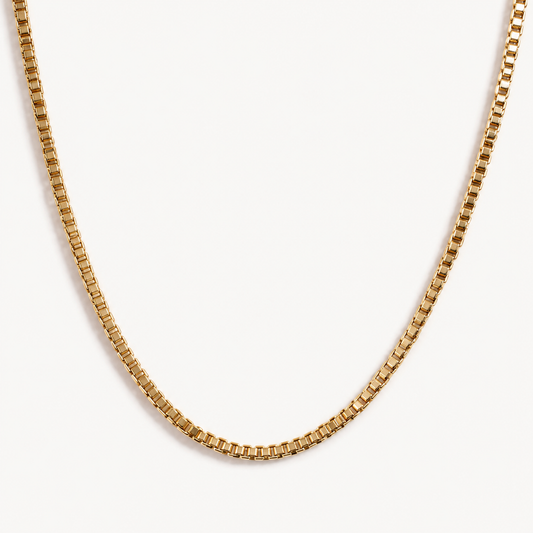 TAIA Renna Box Chain Necklace gold on a light background